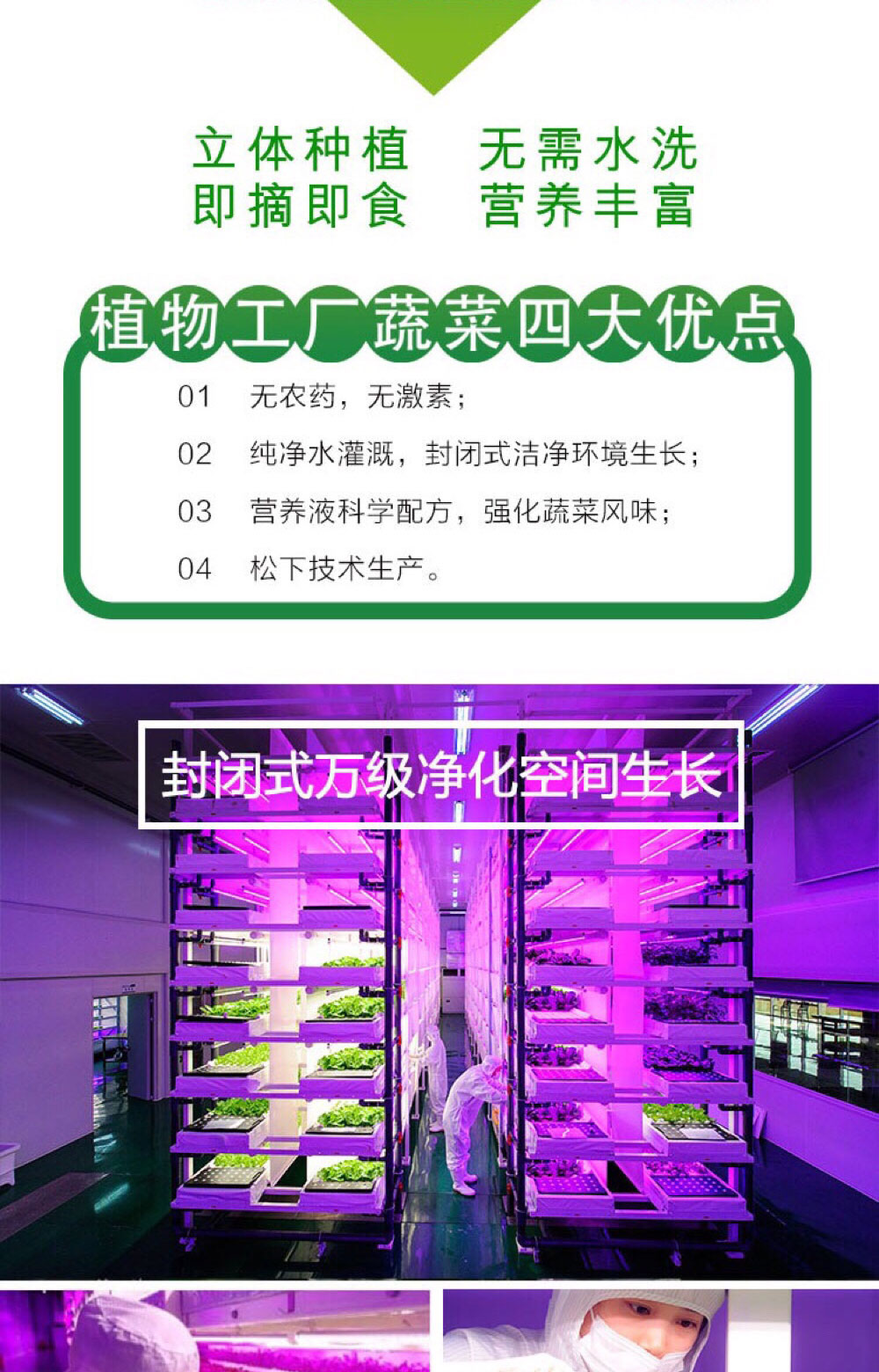 航天級(jí)食品|菊苣|蛹蟲草|